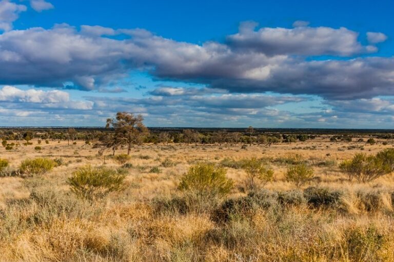 Odkryto dziesiątki artefaktów w Australii, datowanych na 47 tysięcy lat temu