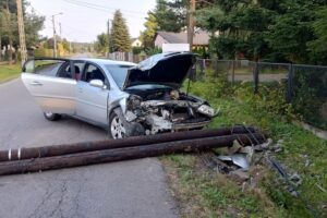 Kobieta wjechała samochodem w słup. To, co odkryli policjanci, przeszło ich wyobrażenia