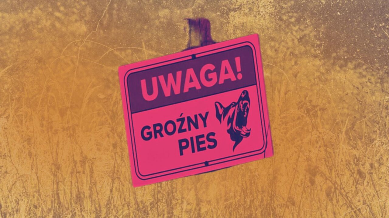 To w tym miejscu psy zaatakowały 46-letniego Marcina. Mieszkańcy dzielą się poruszającymi relacjami