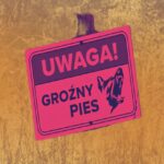 To w tym miejscu psy zaatakowały 46-letniego Marcina. Mieszkańcy dzielą się poruszającymi relacjami